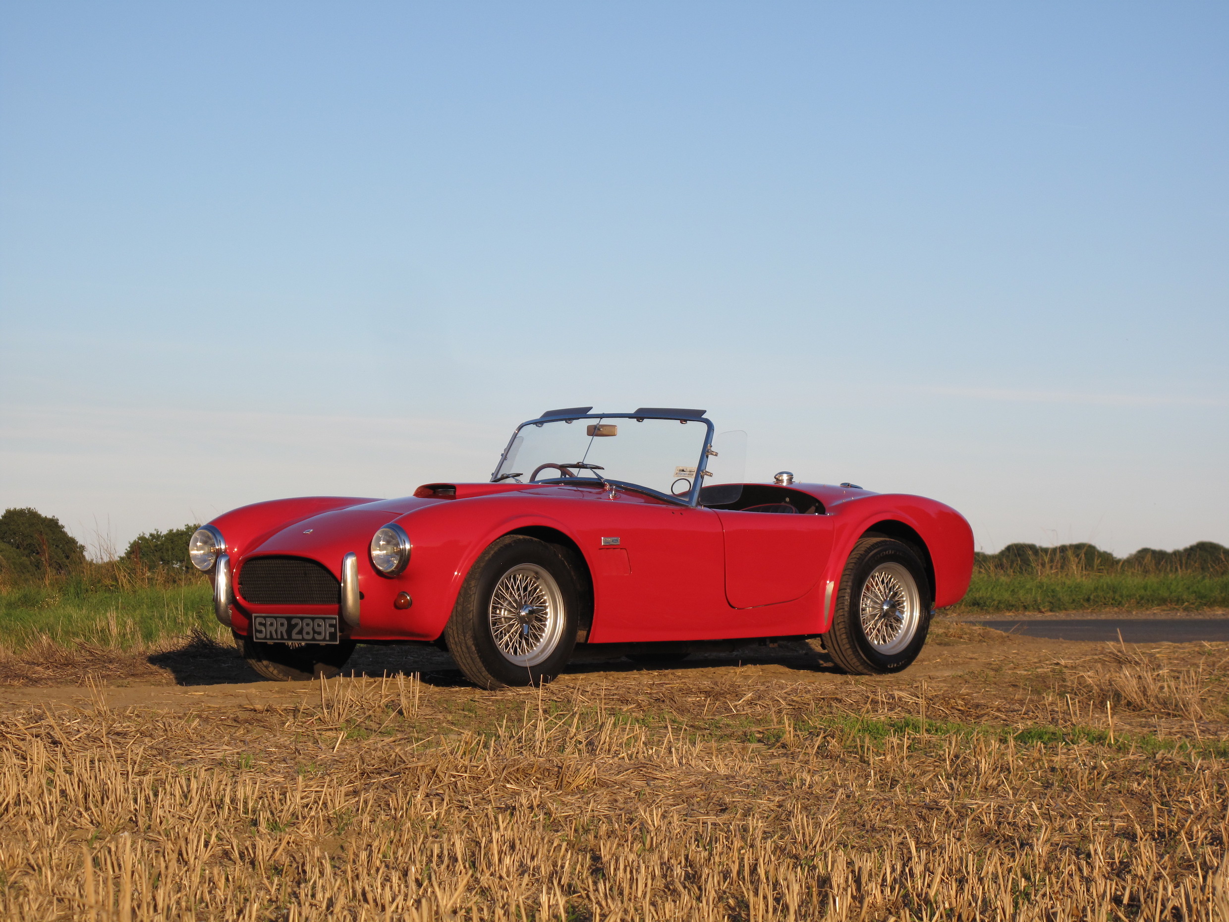 1967 AC 289 Cobra by BRA