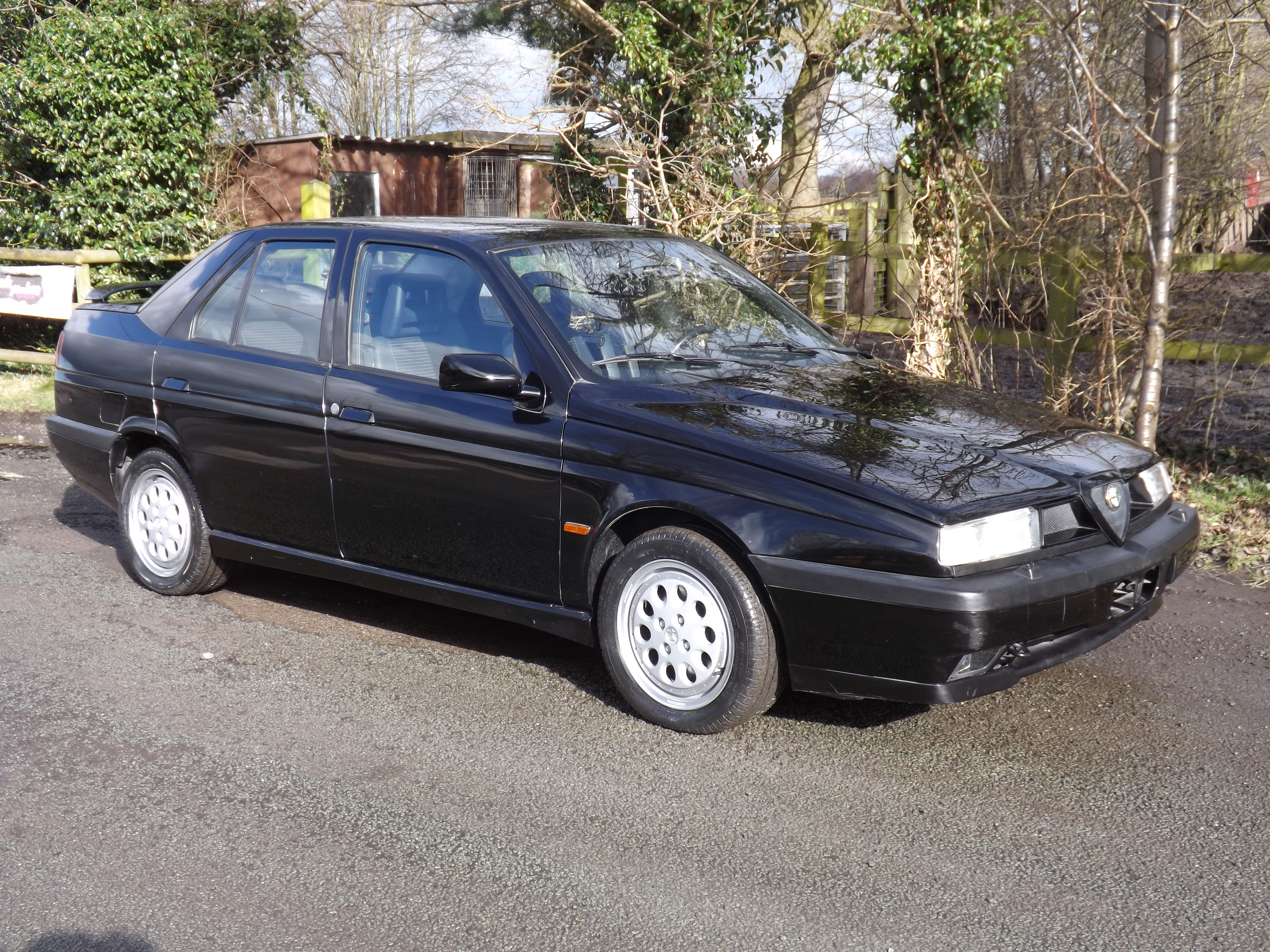 1993 Alfa Romeo 155Q4