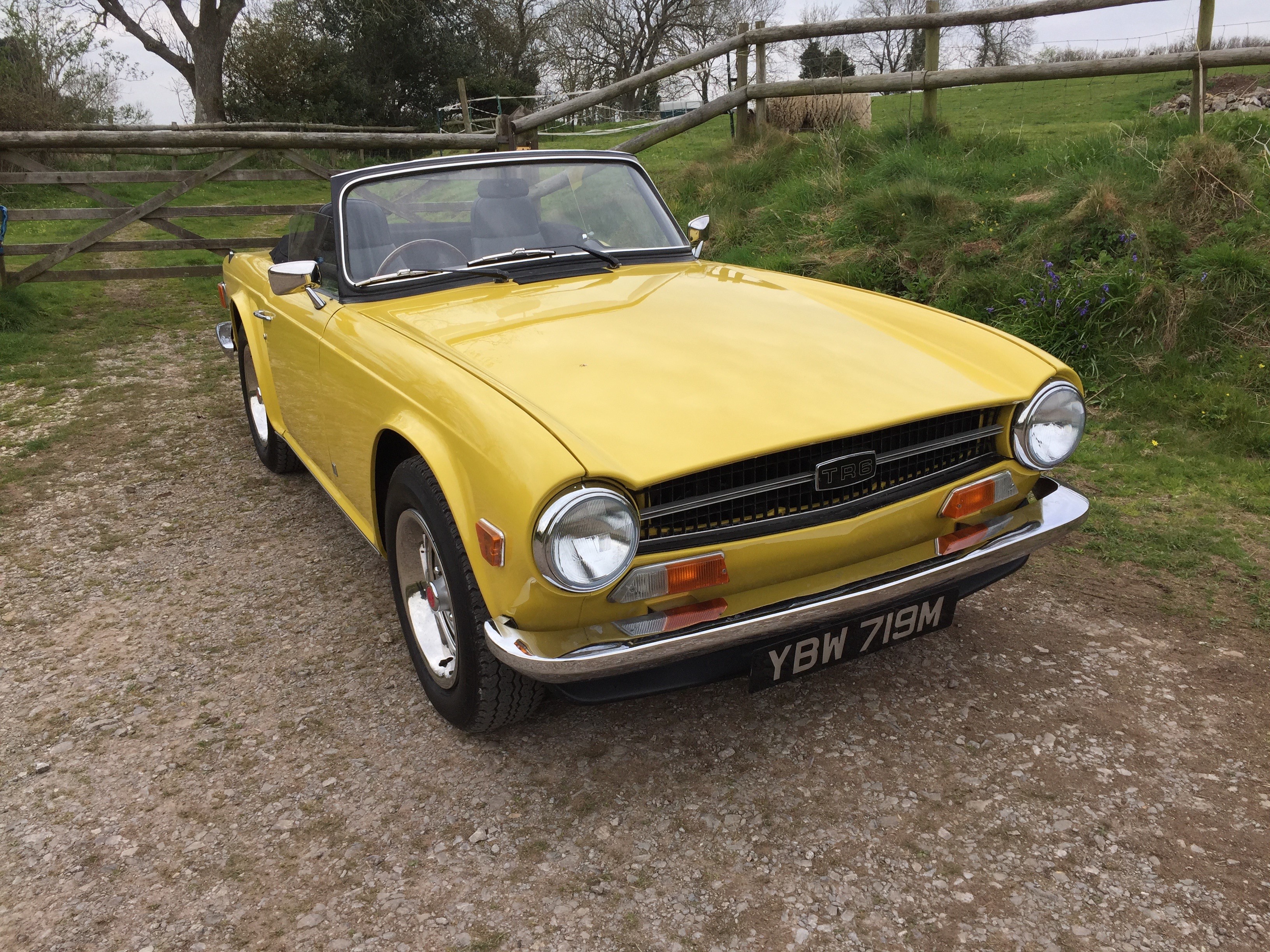 1973 Triumph TR6