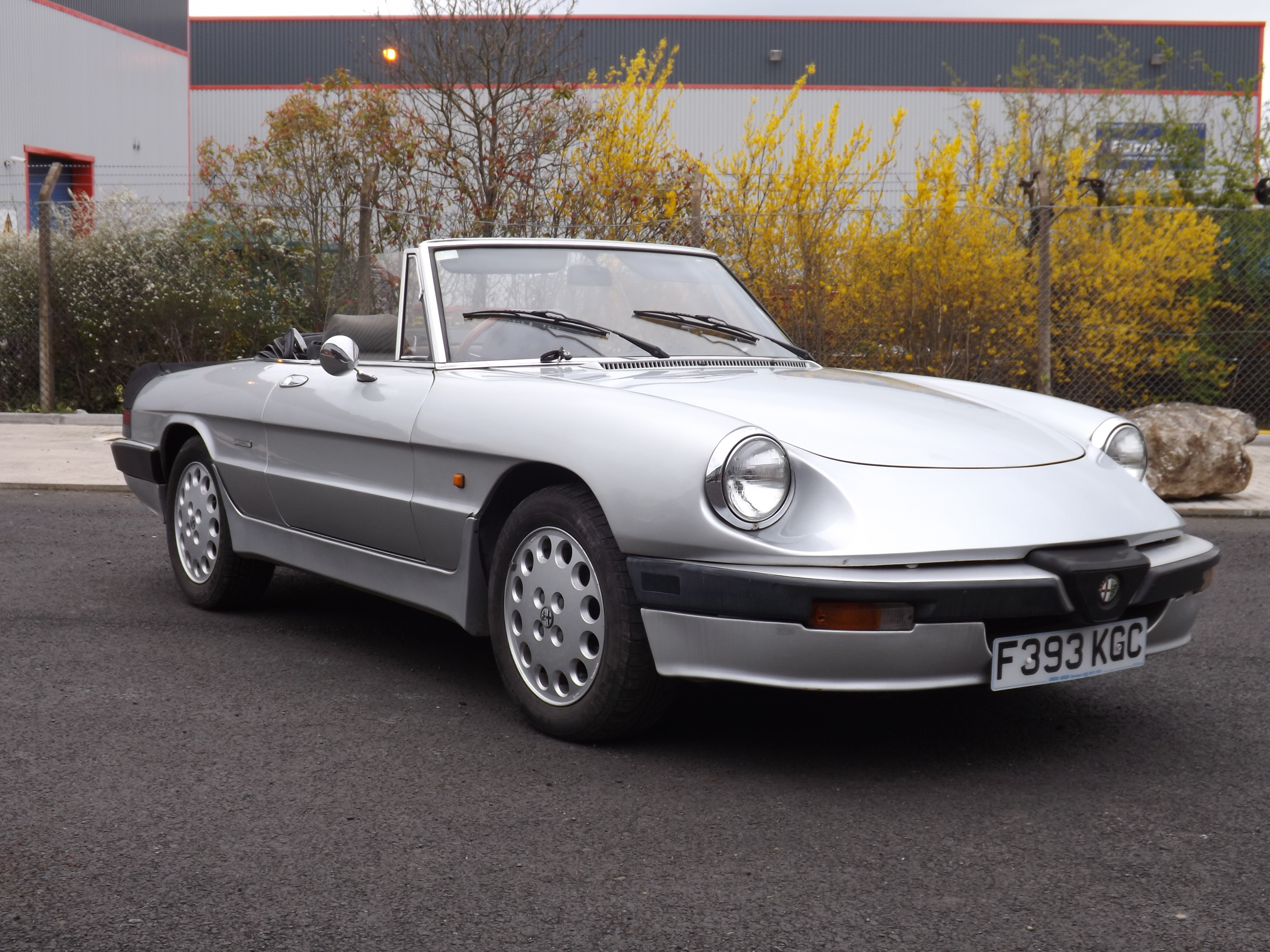 1989 Alfa Romeo Spider