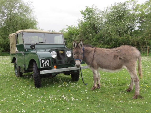 1951 Land Rover Series I 80 Inch