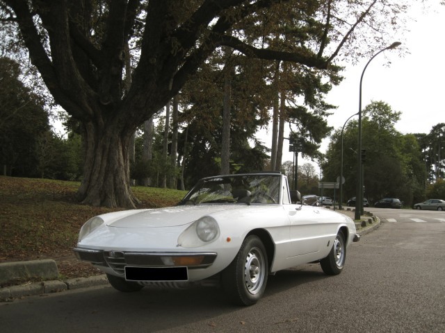 1981 ALFA ROMEO 2000 SPIDER