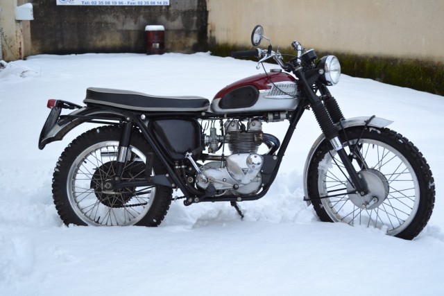 1964 TRIUMPH TIGER T100 SC NO RESERVE