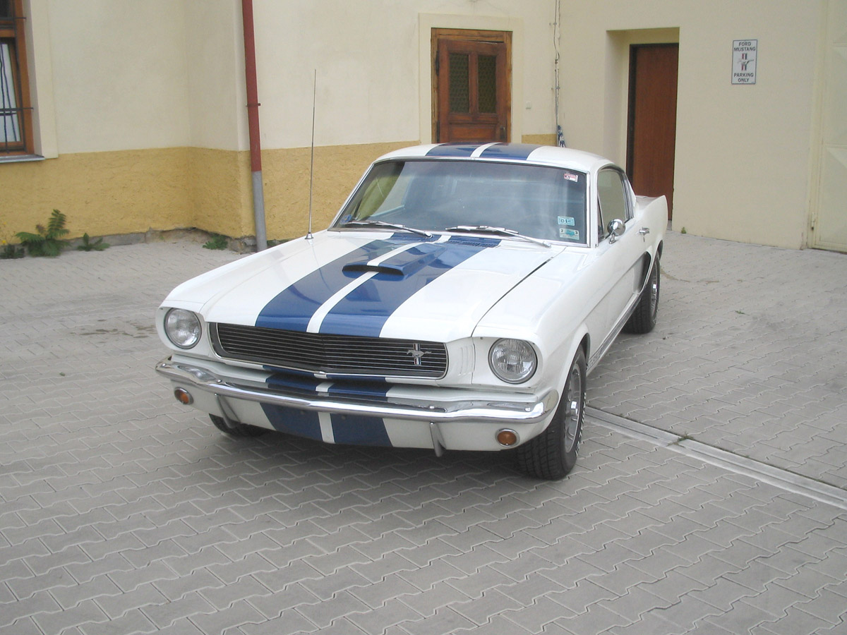 1966 Ford Mustang GT350 Tribute