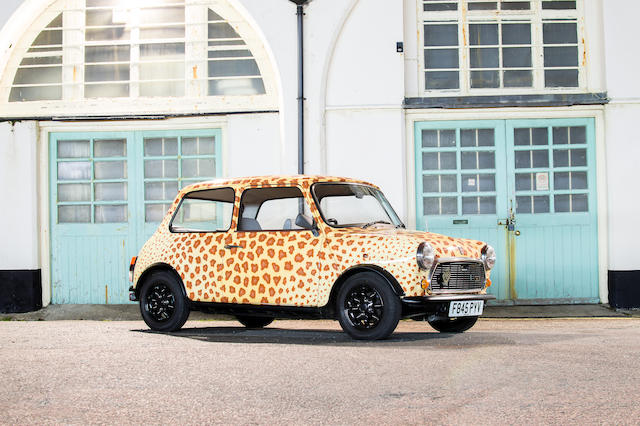 1989 Mini Rose 'Leopard' Saloon