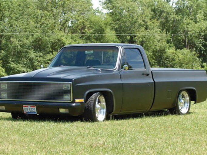 1981 Chevrolet Scottsdale Pickup