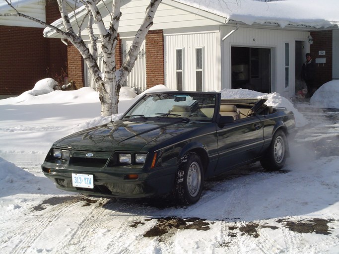 1986 Ford Mustang