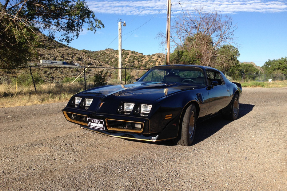 1980 PONTIAC FIREBIRD TRANS AM WS6