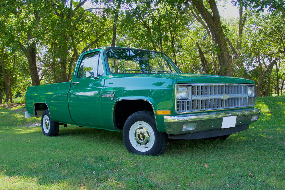 1981 CHEVROLET C10 PICKUP