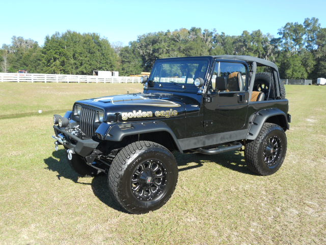 1993 JEEP WRANGLER CUSTOM SUV