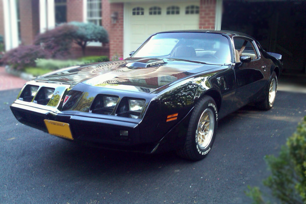 1981 PONTIAC FIREBIRD TRANS AM