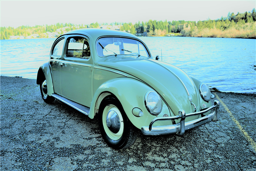 1956 VOLKSWAGEN BUG