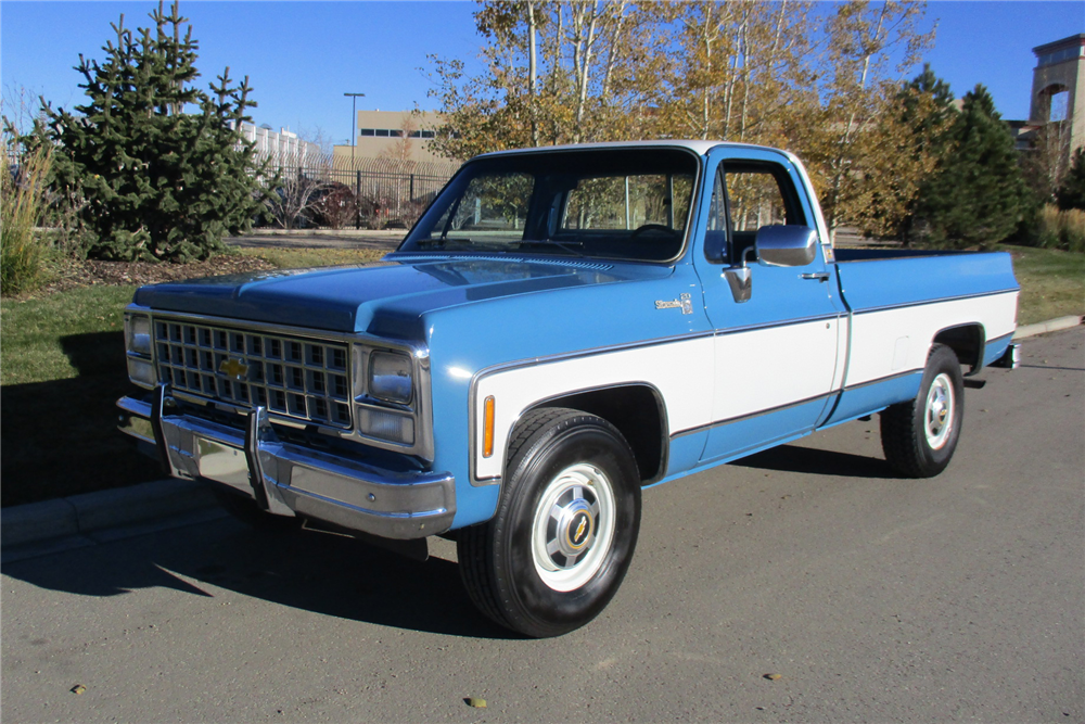 1980 CHEVROLET C-20 PICKUP