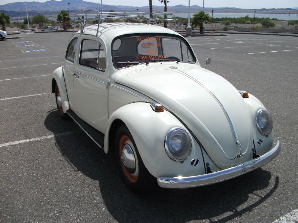 1964 VOLKSWAGEN BEETLE 2 DOOR SEDAN