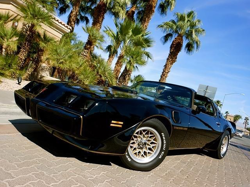 1981 PONTIAC TRANS AM