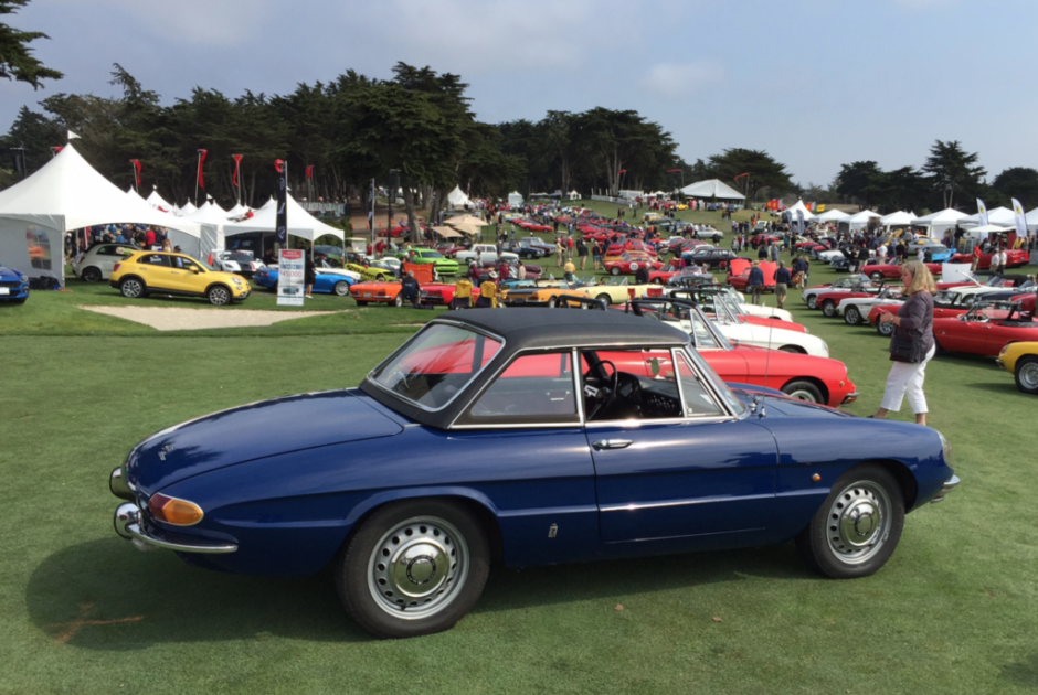 1966 Alfa Romeo Spider Duetto