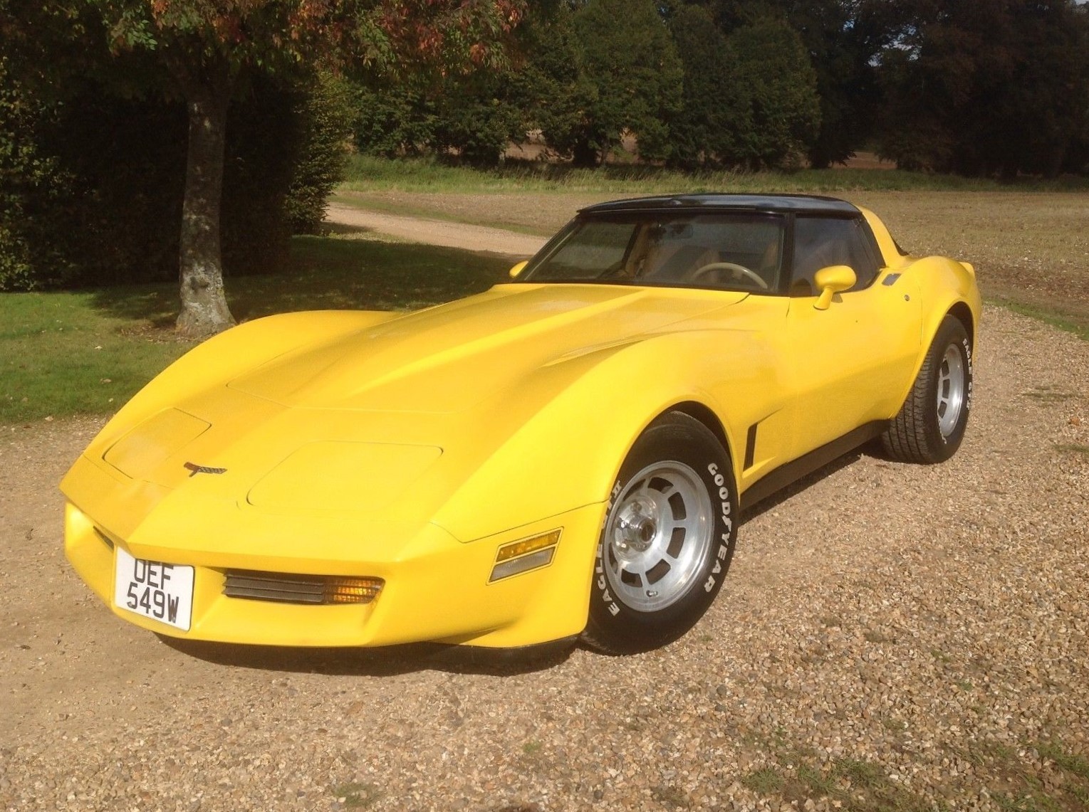 1981 Chevrolet Corvette C3 5.8 V8 CoupÃ©
